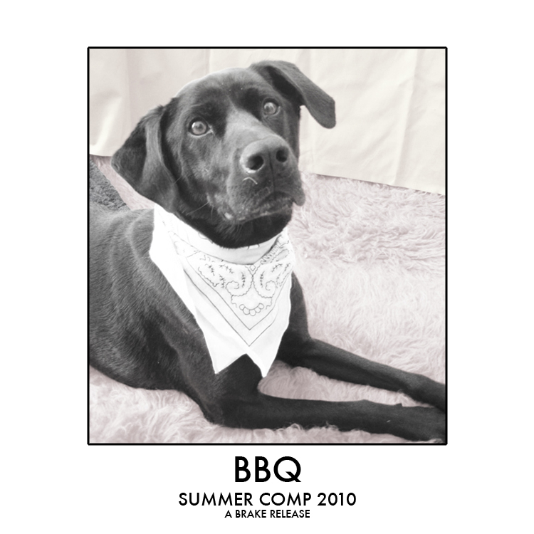bbq cover